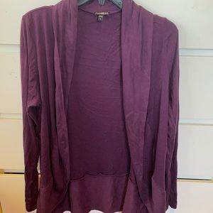 Express Dark Purple Sweater